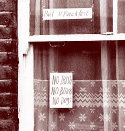 Irish Community Images